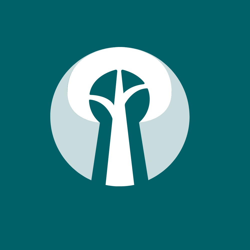 Tree App im Wandel – Refactoring für die Zukunft des Waldes Teaser